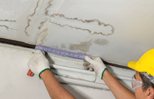 Reliable Water Damage contractor in Shaw Island, WA by Water Damage Irwin